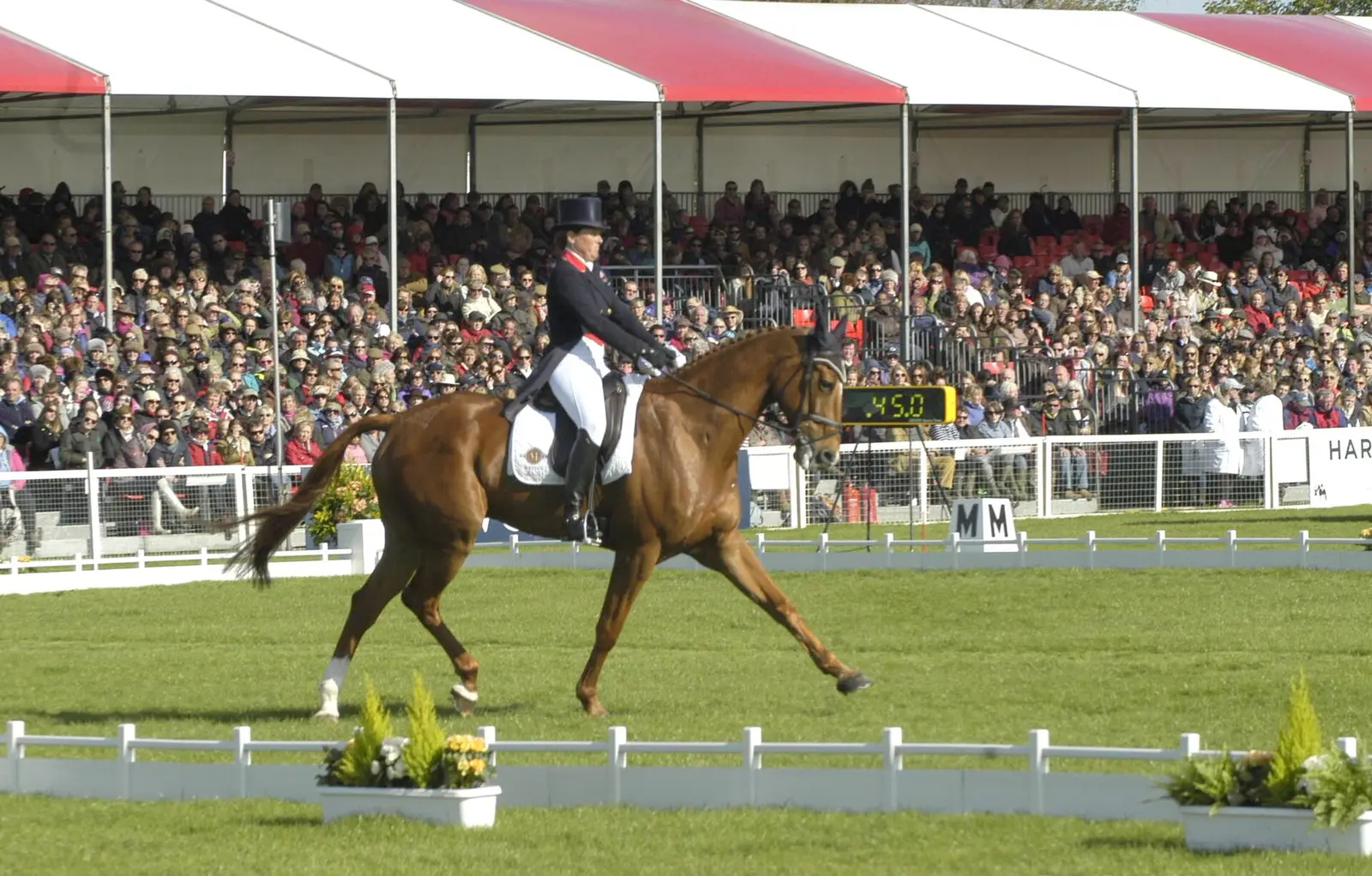 A rider in the dressage arena in front of the packed grandstand at Badminton Horse Trials in 2013